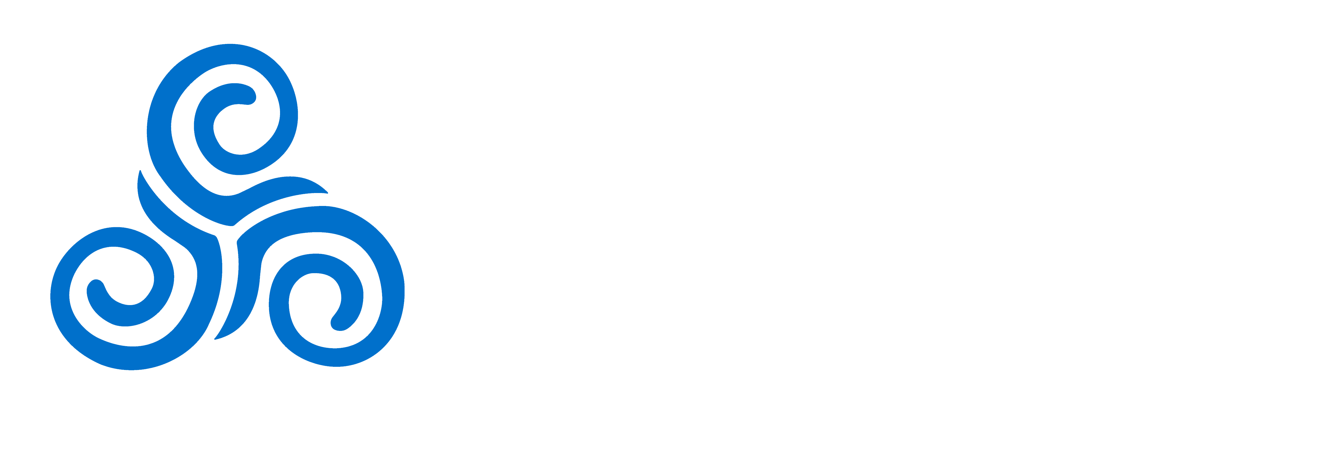 Air Nubeiro Logo